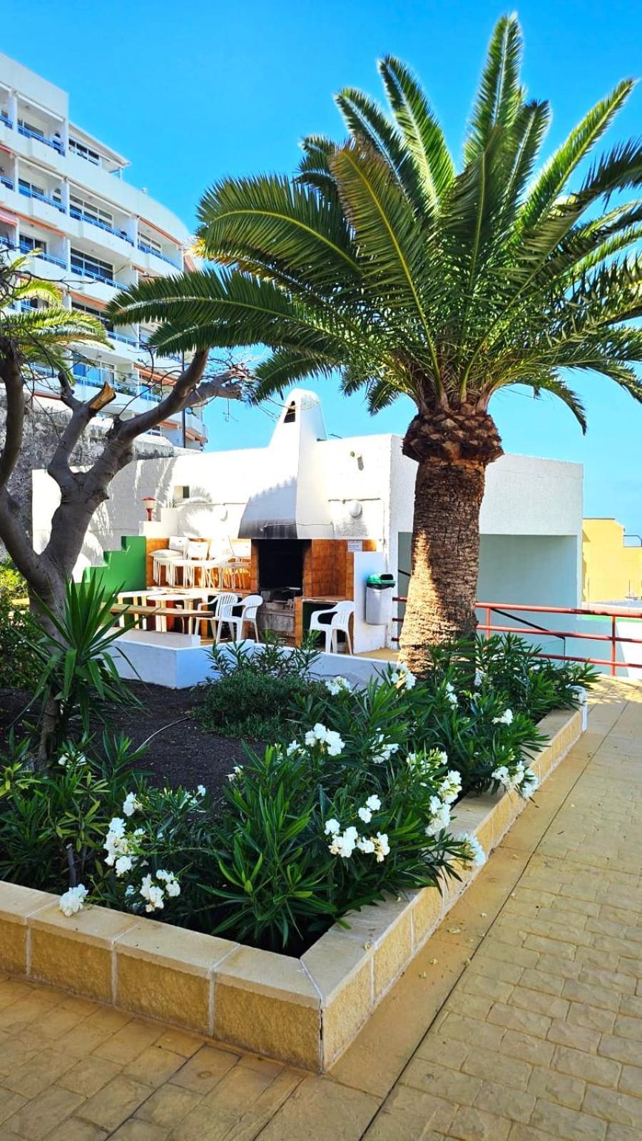 Апартаменты Playa de la Arena Пуэрто-де-Сантьяго Экстерьер фото